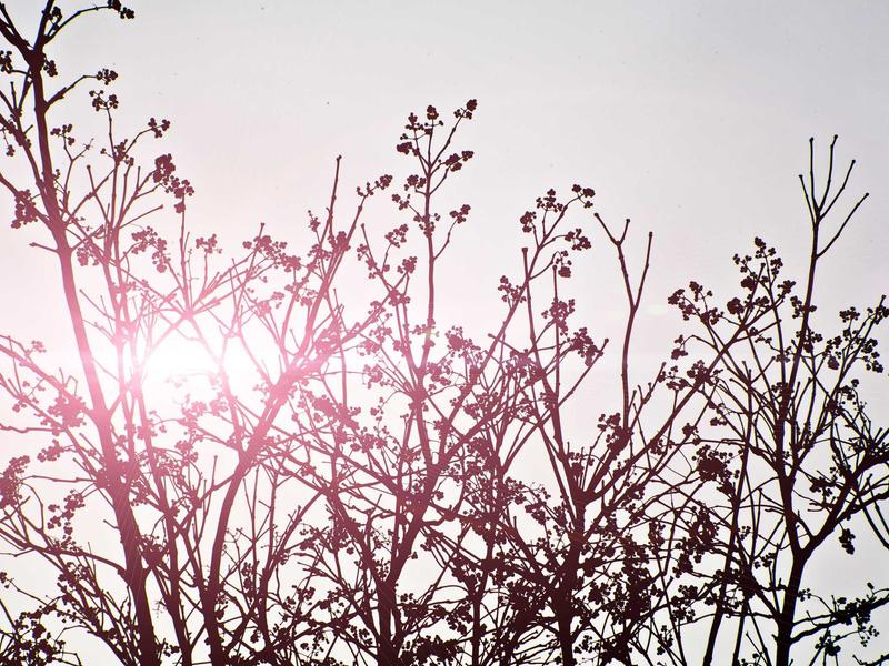 sudoku mental gym screenshot 3