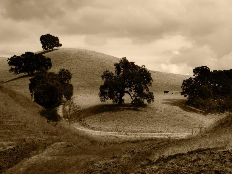 sudoku mental gym screenshot 6